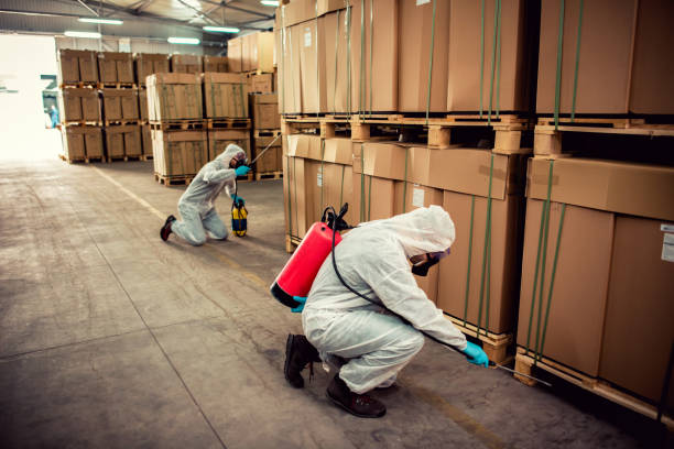 Best Ant Control Services  in Sunset, UT