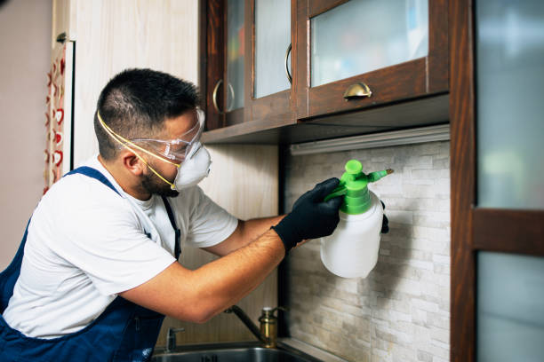 Best Commercial Pest Control Services  in Sunset, UT