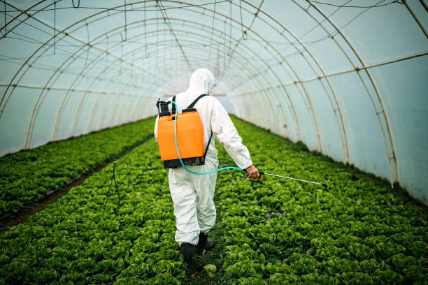Best Mosquito Control Services  in Sunset, UT
