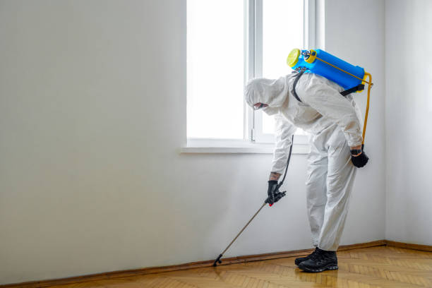 Best Rat Extermination Near Me  in Sunset, UT