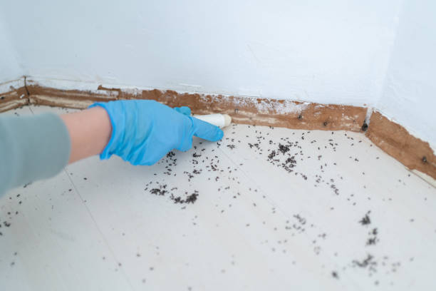 Professional Pest Control in Sunset, UT
