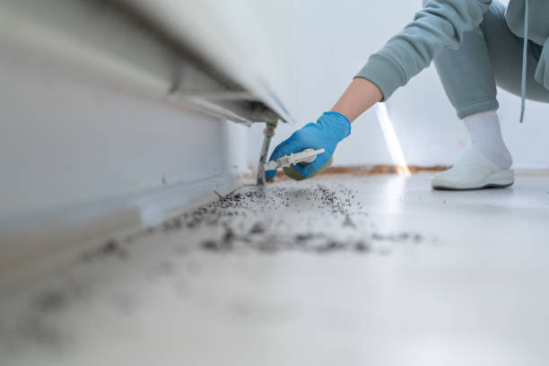 Pest Control for Restaurants in Sunset, UT